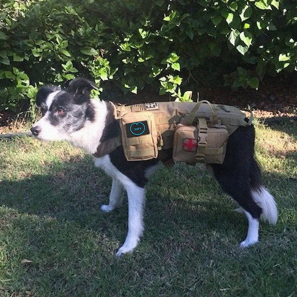 Dog Survival Bag